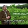 Embedded thumbnail for Introduction of the Oak protection project